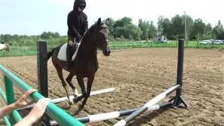 Конкур 60 см 01.06.2014 КФХ 