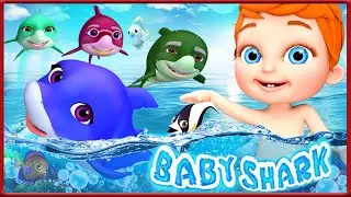 tubarão bebê | Canções para crianças | Momo Cartoon School Teather Português