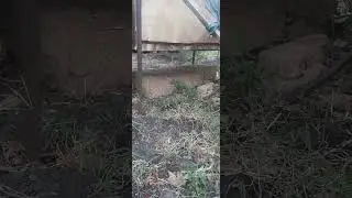 4 сентября 2024 г.