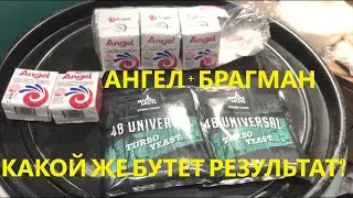 Смесь дрожжей и 220 литров браги.