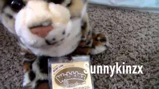 Kinztube Or Kinzstagram ?!?