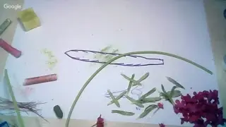 Посиделки. Скабиоза. День 4.
