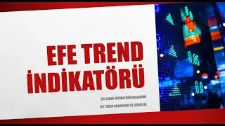 EFE TREND İndikatörü nasıl kullanılır? Rakamlar neyi ifade ediyor?