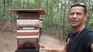 The work doesn't stop, managing stingless bees!