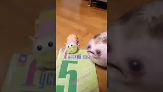 опять новости