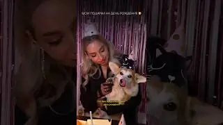 Мои подарочки на день рождения 🥳 | 