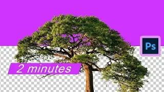 How to select tree Make it transparent in Photoshop (Easy)