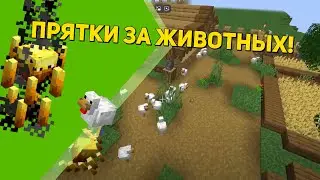 💎Прятки но мы привращаемся в животных!💎
