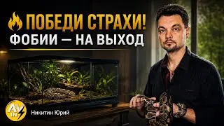 🐍 Боремся со своими страхами и даже фобиями! (НИКИТИН ЮРИЙ ⚡).