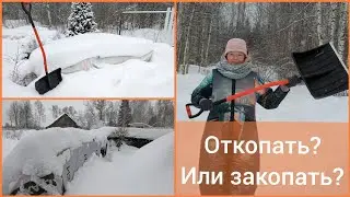 После дождей морозы под 40°!  Выживут ли розы, что с укрытиями? 6 января 2024 г.