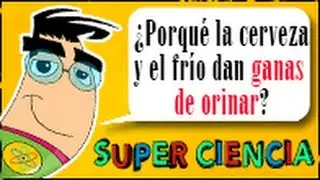 ¿Por qué con la CERVEZA y el FRÍO te dan GANAS DE IR AL BAÑO?