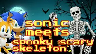 Sonic plush: sonic meets spooky scary skeleton