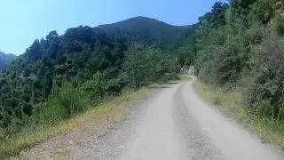 Terapi Ormanı