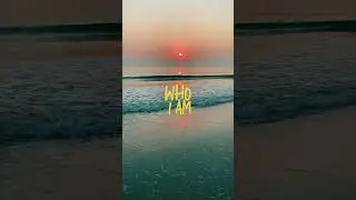 Who I Am | Indian mix | Gravero Mix | Alan Walker | Putri Ariani |  PEDER Elias