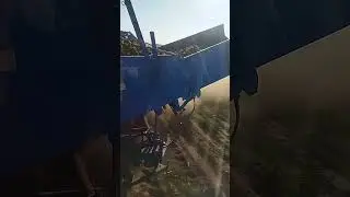 17 сентября 2023 г.