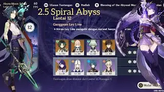 Xiao C0 & Raiden Shogun C0 Spiral Abyss 2.5 Genshin Impact