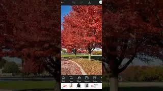 how to add music player in photo picsart