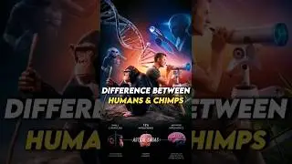 What Is Difference In Intelligence Between Humans And Chimps?