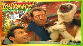 🐒 Zoboomafoo 121 - Giants | HD | Full Episode 🐒