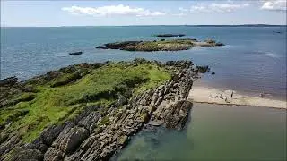 Mossyard in 4k