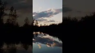 Почему Аль Бано и Ромина Пауэр развелись?