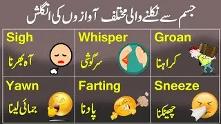 29 English Vocabulary Words for voice of body|Learn Skills With Mansoor