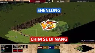 Shenlong vs Chim Sẻ Đi Nắng | Solo Assy | 24/06/2023