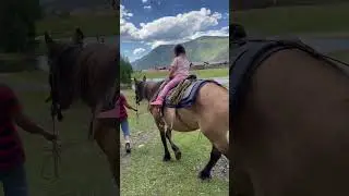 #алтай