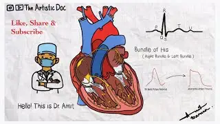 Conduction System of Heart | Components of ECG | Animated Video | With Voice Over |