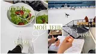 Дневник фигуристки. Один день из моей жизни. Питание, тренировки, учеба