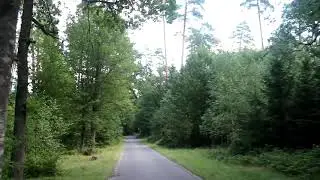 вело прогулка по беловежской пуще.