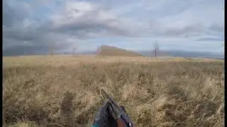 козье царство