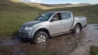 Элька села