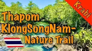 Tha pom Klong Song Nam ท่าปอมคลองสองน้ำ จ.กระบี่ | Nature Trail | Krabi จ.กระบี่
