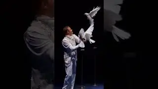 Andrejs Fjodorvs - galambszám / birds act   - Fővárosi Nagycirkusz 2024 - Csillagok égbeli tűk