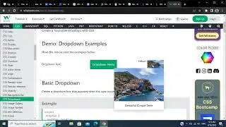 css3 _ From Dropdown till Forms