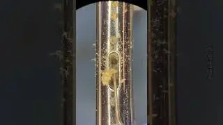 #Satisfying iPhone charging port #cleaning under the #microscope at #phonefixcraft #phonerepair