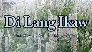 Di Lang Ikaw - Juris " Cover By: Diana CM (Lyrics Video)