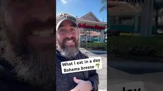 One meal a day at Bahama Breeze 