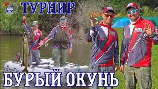 Турнир "Бурый окунь"/Впервые на PRO турнире/Какие результаты даёт PANOPTIX/#teamправильнаяподсечка