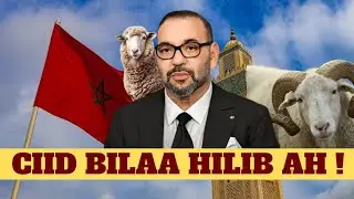 Ciida Arafo Lama Qalayo Xoolihii Udxiyada #marocco