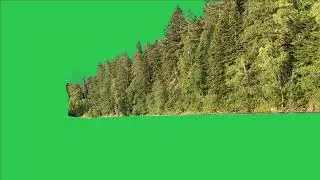 Tree green screen video, Green screen tree, tree green screen effect kinemaster, P-47
