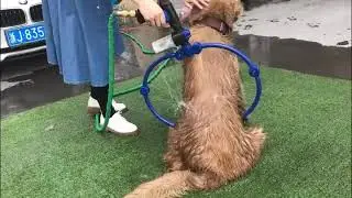 HiyaaHome Portable Dog Shower 360 Dog Shower