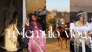 #vlog