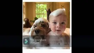 md video