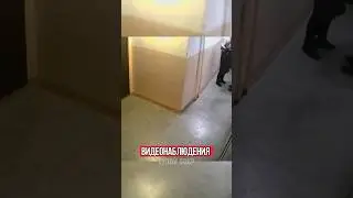 😱МЕСТНЫЕ ГРЫЗУНЫ УДИВИЛИ СОСЕДЕЙ!