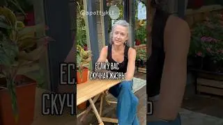 СКУЧНАЯ ЖИЗНЬ😁больше пользы в моем тг t.me/spottykit