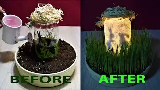 DIY Bunny Lantern Glow in the dark Jar / Learn How to Grow Easter Gras