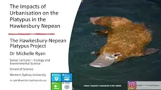Dr Michelle Ryan - The Impacts of Urbanisation on the Platypus in the Hawkesbury Nepean