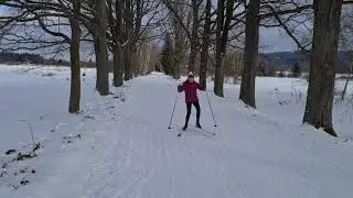 Běžky Padrť